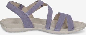 CAPRICE Strap Sandals in Purple