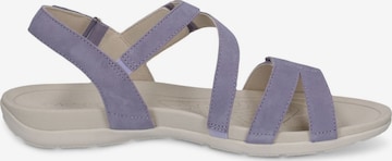 CAPRICE Sandalen met riem in Lila