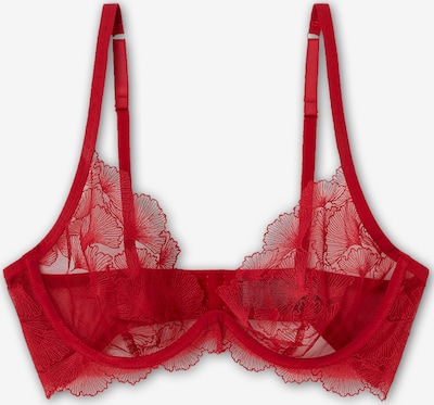 Gisela Grudnjak u jarko crvena, Pregled proizvoda