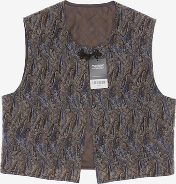 Peter Hahn Vest in XL in Brown: front