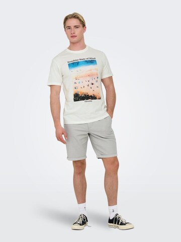 Only & Sons Regular Shorts 'Peter Dobby' in Grau