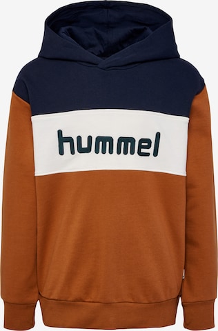 Hummel Sweatshirt in Braun: predná strana