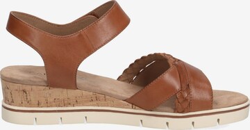 CAPRICE Strap Sandals 'Caprice' in Brown