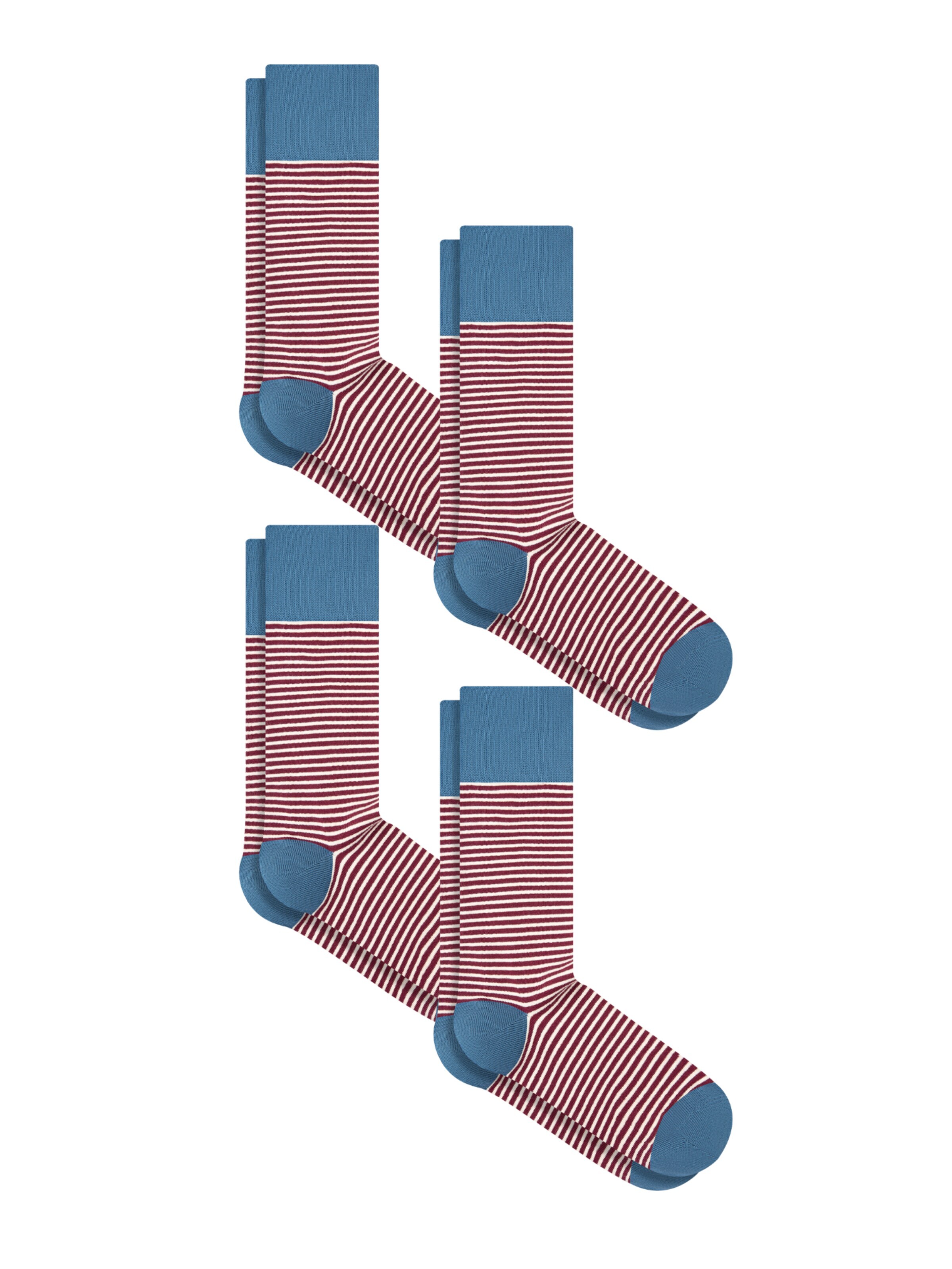 Albero Natur Socks 'Bio-Baumwoll-Socken mit längerem Bündchen - 4er Pack' in Red: front