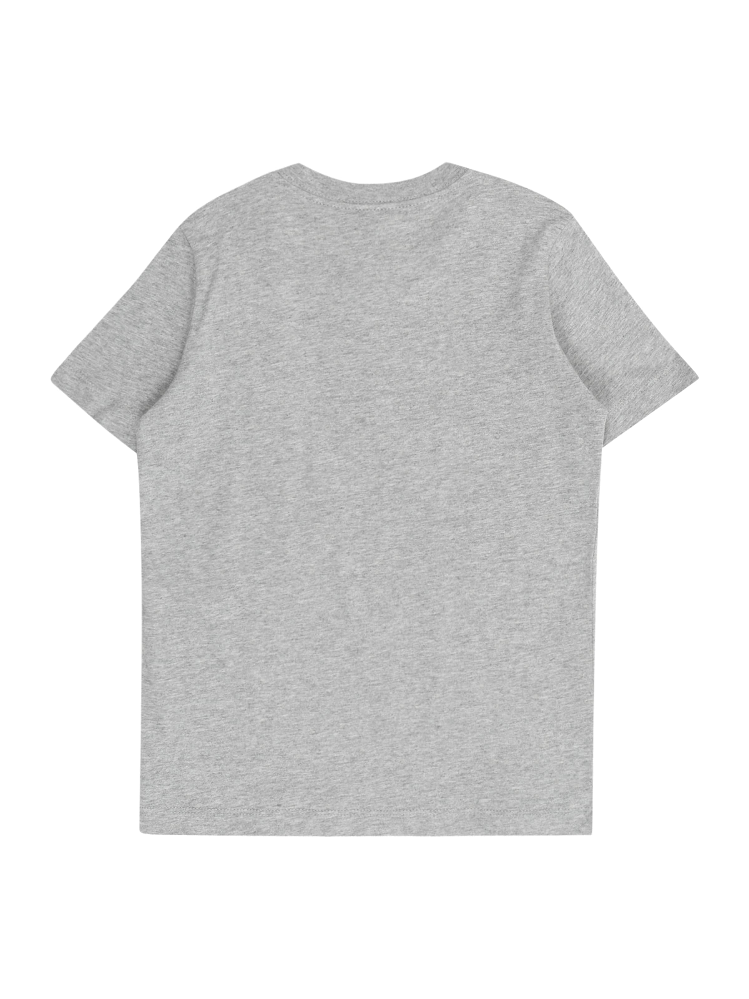 pelēks Nike Sportswear T-Krekls 'FUTURA HBR'