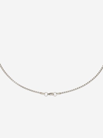 TOMMY HILFIGER Necklace in Silver