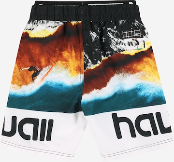 Regular Shorts de bain 'Neal' Molo en mélange de couleurs