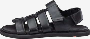 Sandales 'Emory' LLOYD en noir : devant