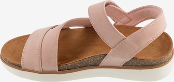 SKECHERS Sandal 'Skechers Lifted Comfort' in Pink: front
