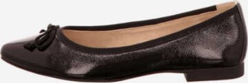 Ballerines Paul Green en marron