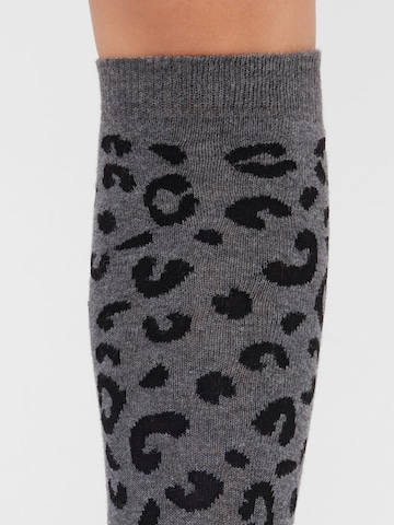 CALZEDONIA Knee High Socks in Grey