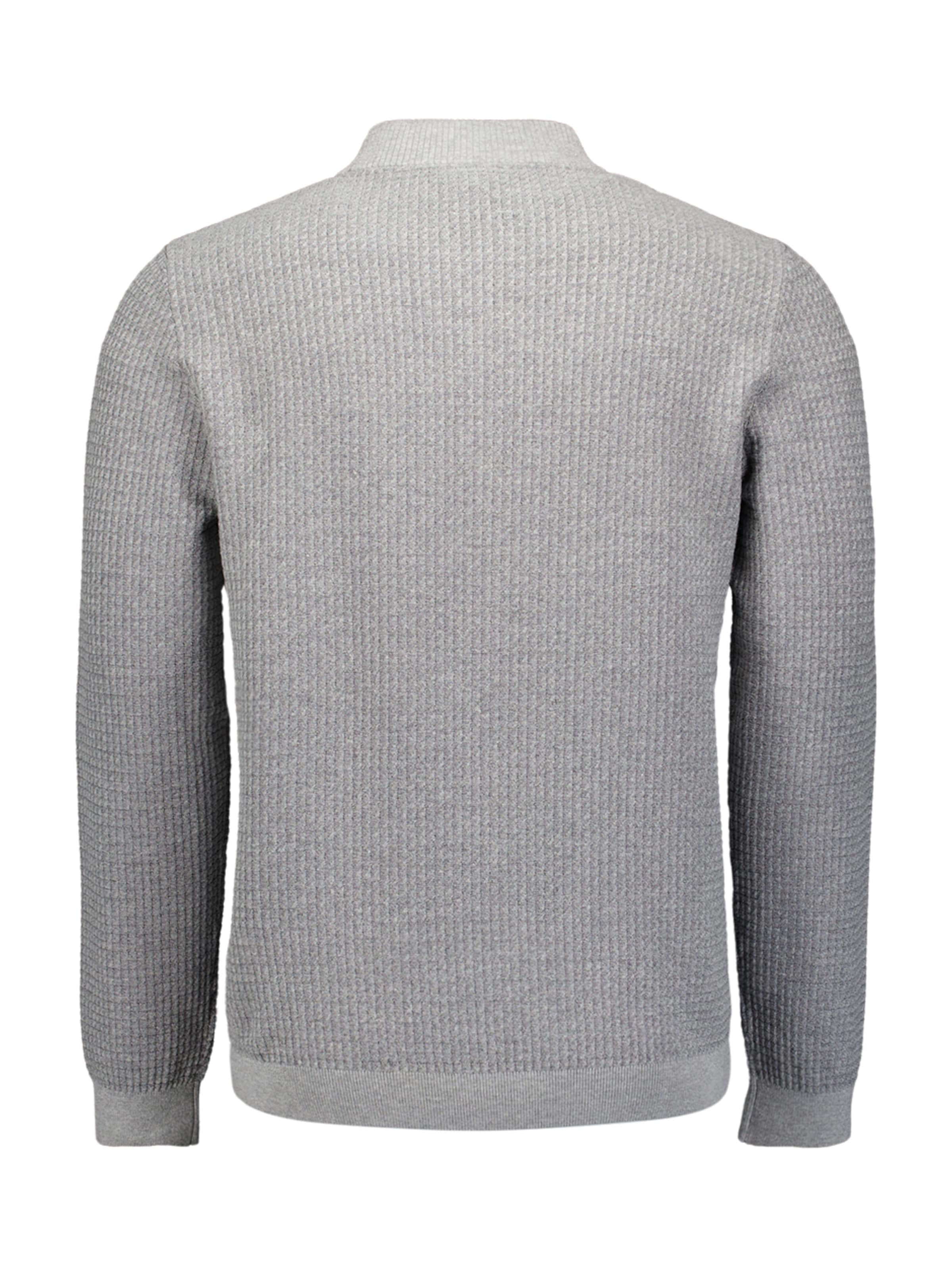 Pull-over No Excess en gris