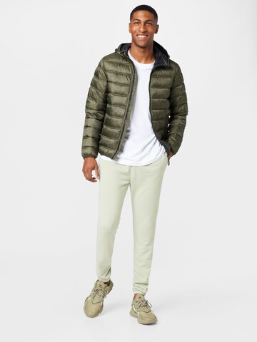 HOLLISTER Tapered Trousers in Green