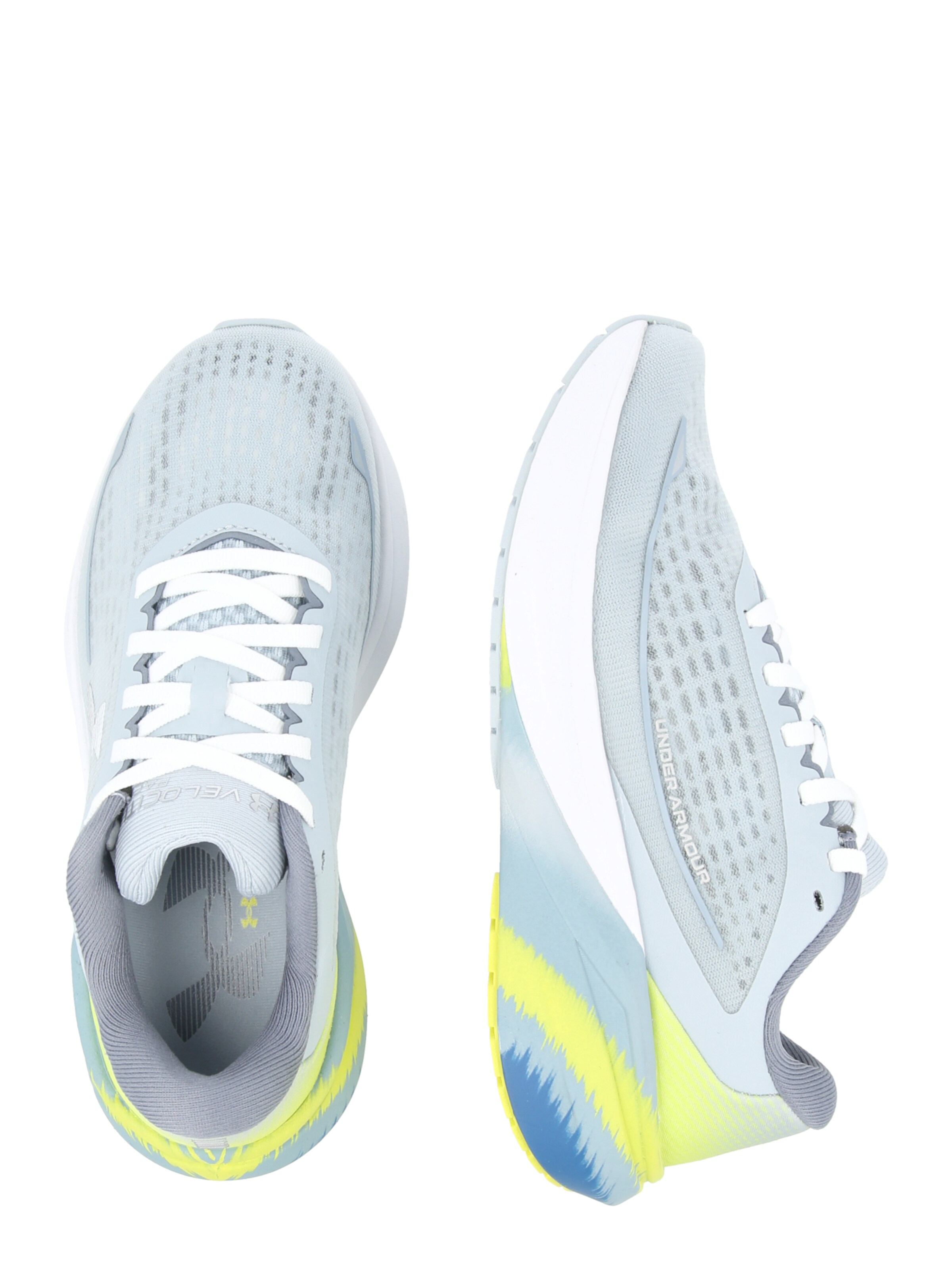 Scarpa da corsa 'Velociti Pace' di UNDER ARMOUR in blu