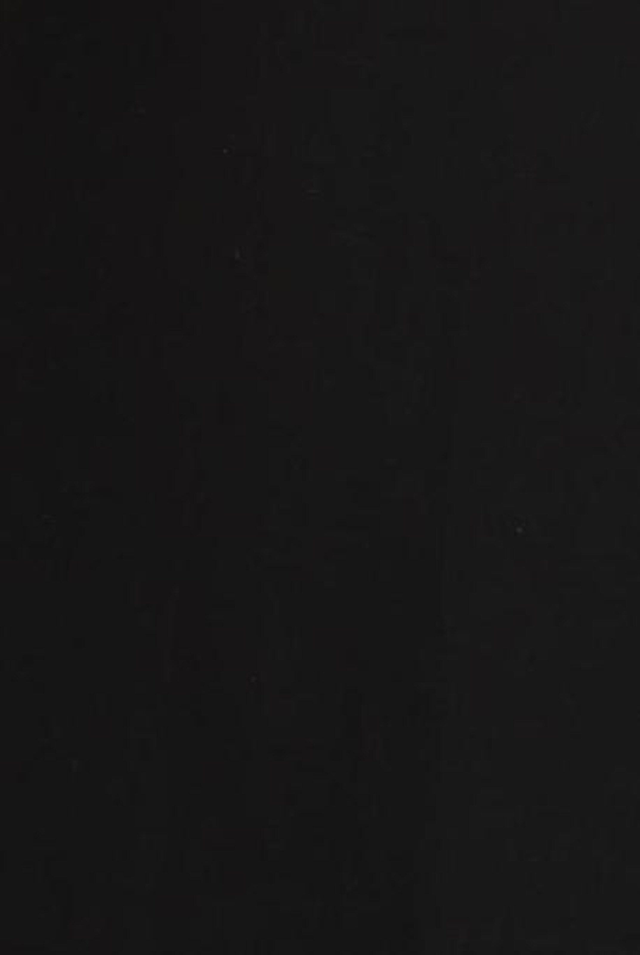 HALLHUBER Skirt in XL in Black