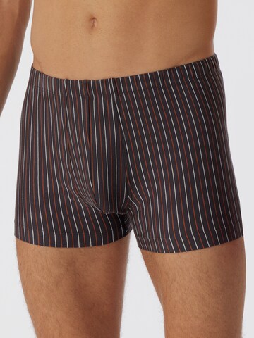 SCHIESSER Boxershorts ' 95/5 Essentials ' in Bruin: voorkant