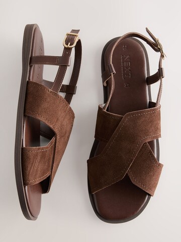 brūns Next Sandales 'Forever Comfort'