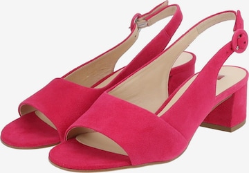 Sandalo con cinturino di Högl in rosa