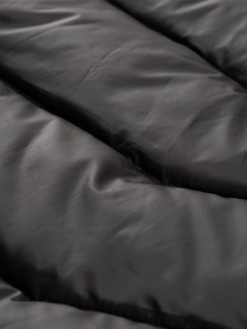 Geacă de primăvară-toamnă de la TOM TAILOR pe negru