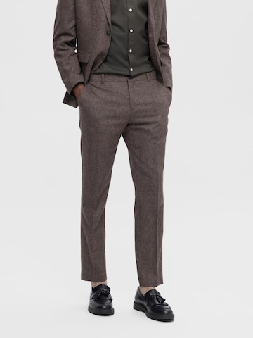 SELECTED HOMME Regular Chino Pants in Brown: front