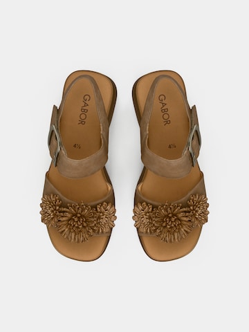 GABOR Σανδάλι σε καφέ