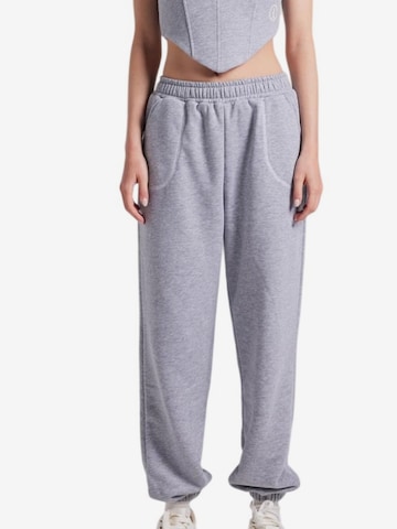 Pantalon HOLLY LOLLY en gris : devant