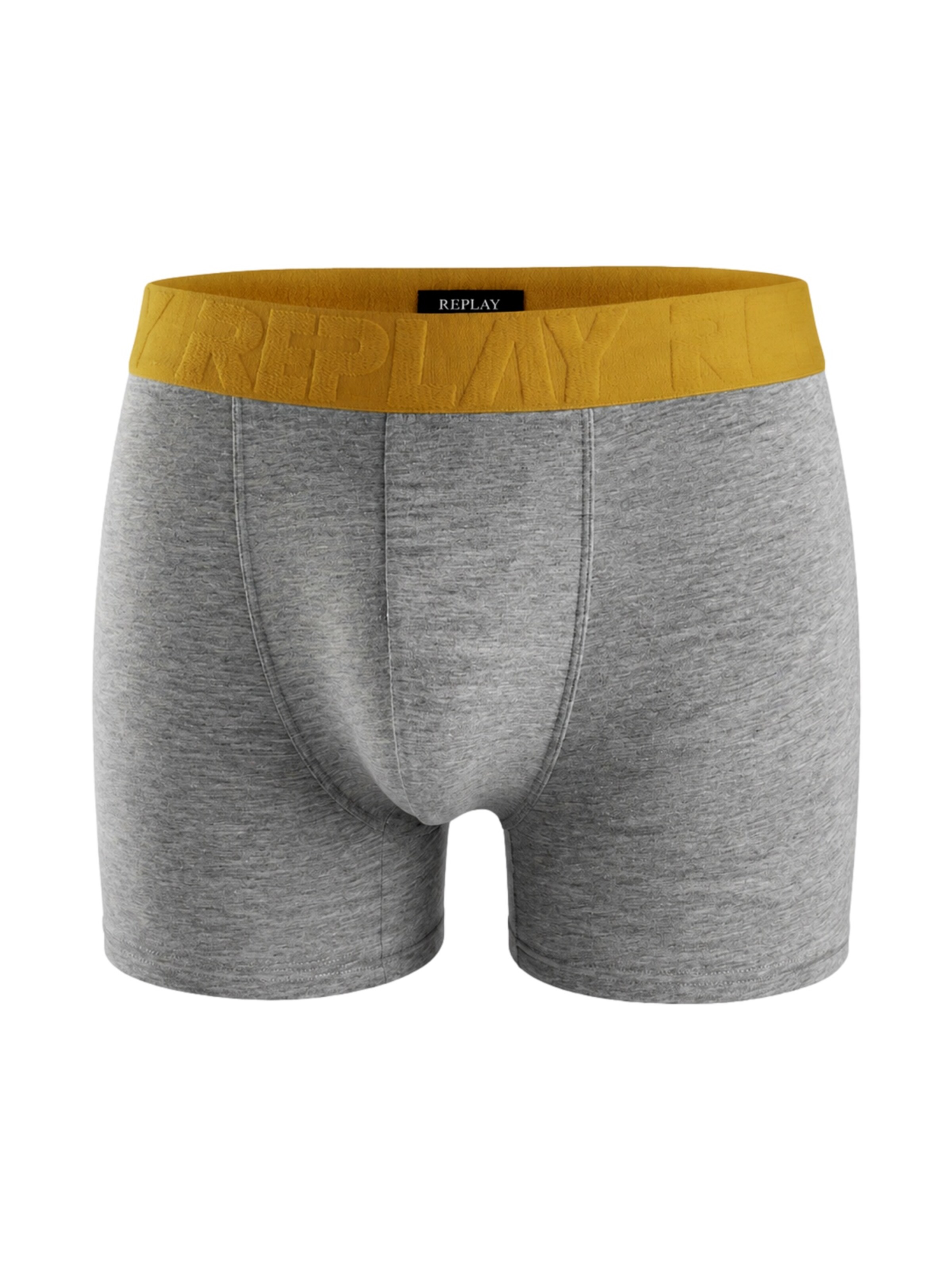 pilka REPLAY Boxer trumpikės