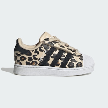 ADIDAS ORIGINALS Trainers 'SUPERSTAR II' in Beige