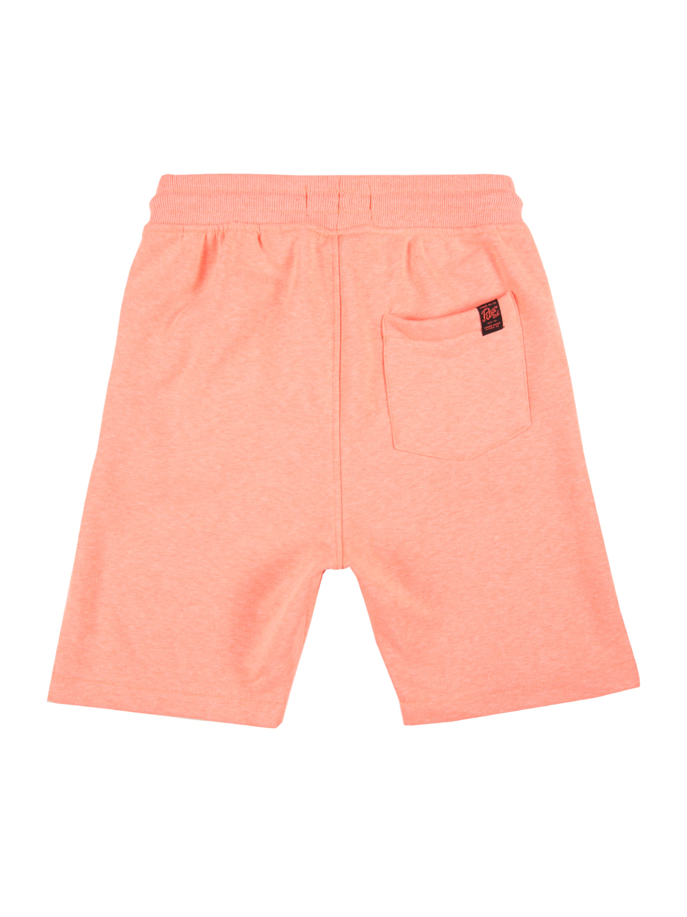 Petrol Industries Обычный Штаны в Оранжевый