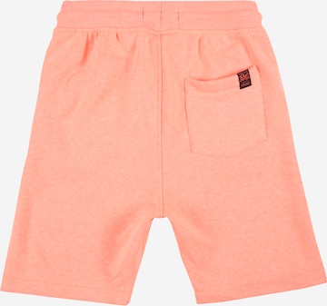 Petrol Industries Regular Pants in Orange