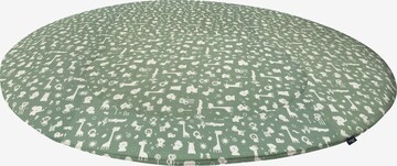 ALVI Carpet in Green: front