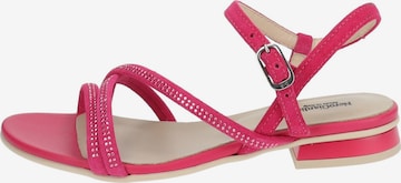 Nero Giardini Strap Sandals in Pink