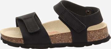SUPERFIT Sandals & Slippers in Black