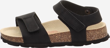 SUPERFIT Sandale in Schwarz