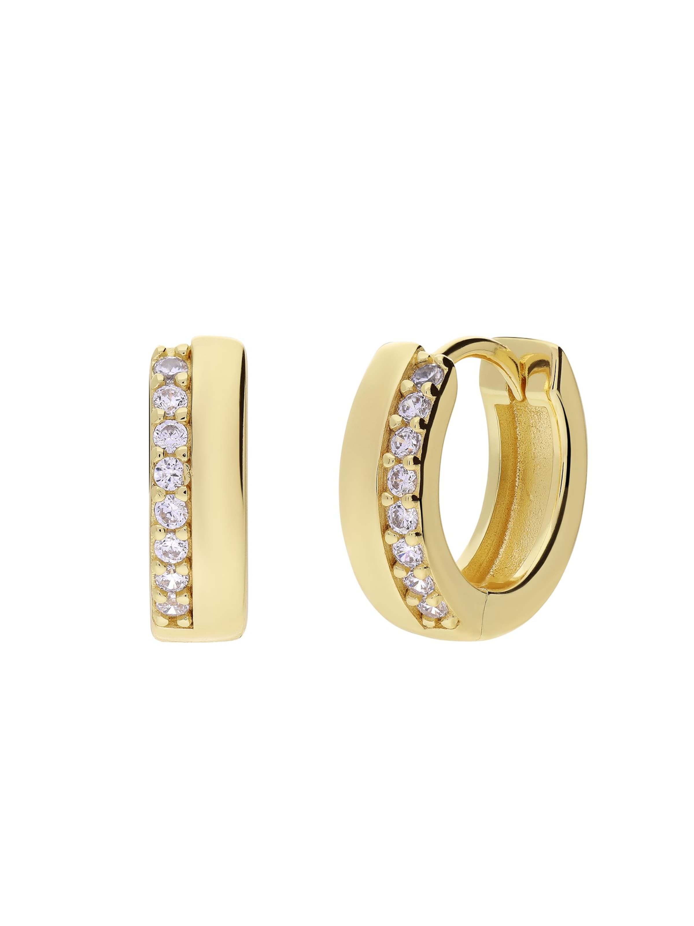 Lucardi Earrings in Gold, Item view