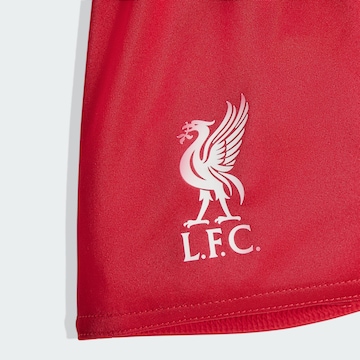 Completo per l'allenamento 'FC Liverpool 25/26' di ADIDAS PERFORMANCE in rosso