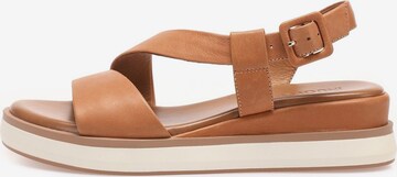 INUOVO Sandals in Brown