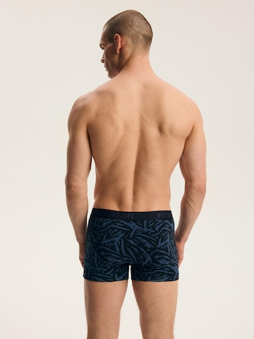 Boxer di Henderson in colori misti