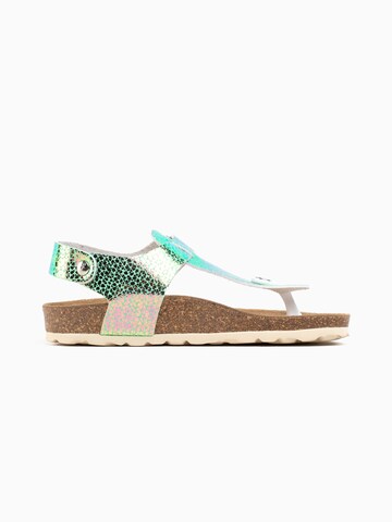 Sandales 'Rhea' Bayton en vert