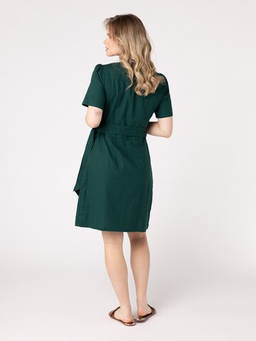 Quiosque Dress in Green