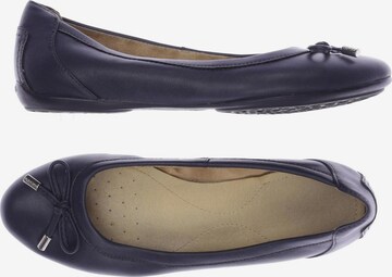 GEOX Flats & Loafers in 37 in Blue: front