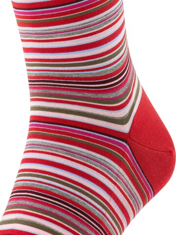 FALKE Kniestrümpfe 'Microblock'‌‌‌‌‌‌‌‌‌‌ in Rot