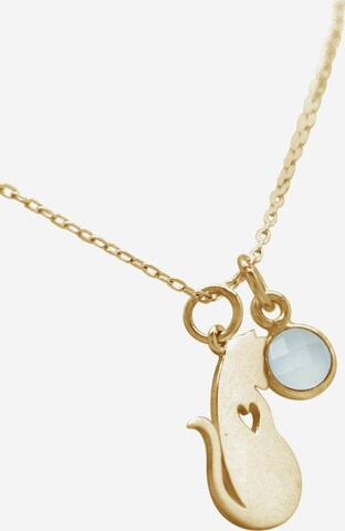 Gemshine Ketting in Goud