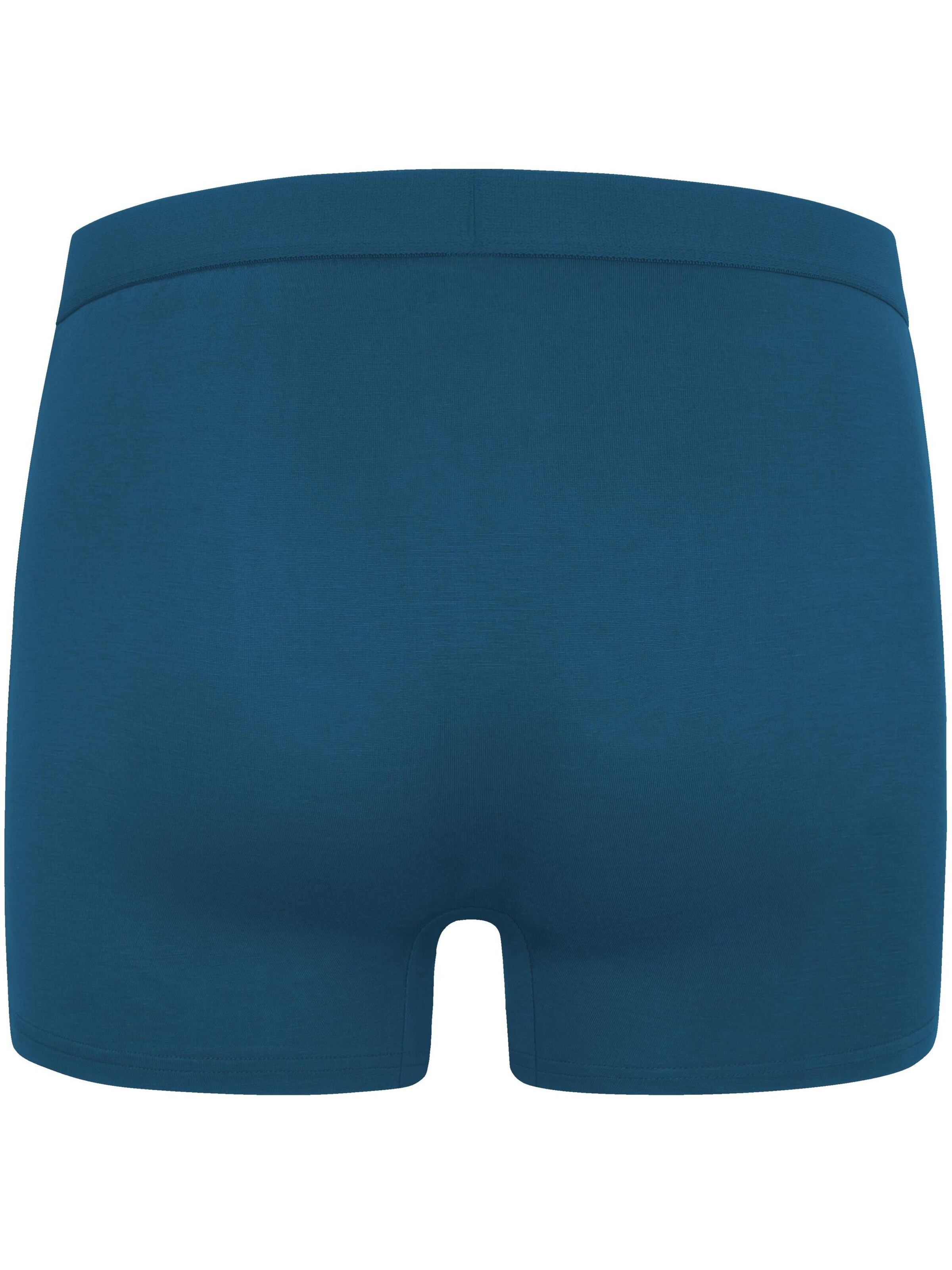 normani Boxer shorts in Blue