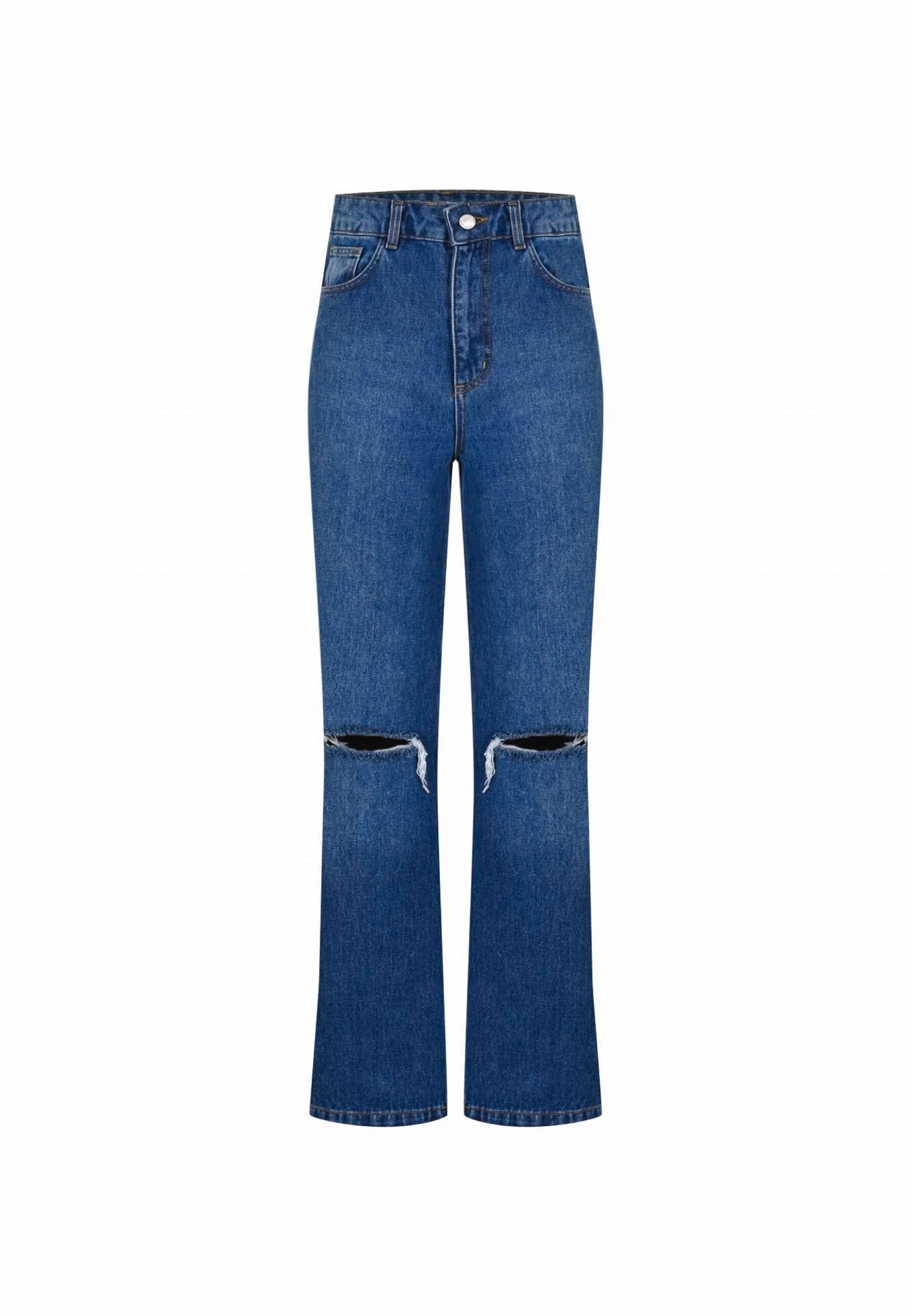 FRESHLIONS Regular Jeans 'Sofia' in Blau: Vorderseite