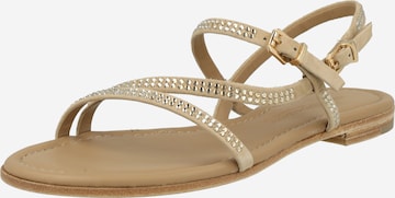 Kennel & Schmenger Strap sandal 'ELLE' in Beige: front