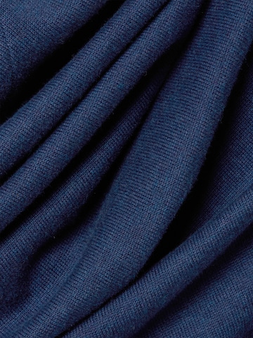 Nils Sundström Gebreid vest in Blauw