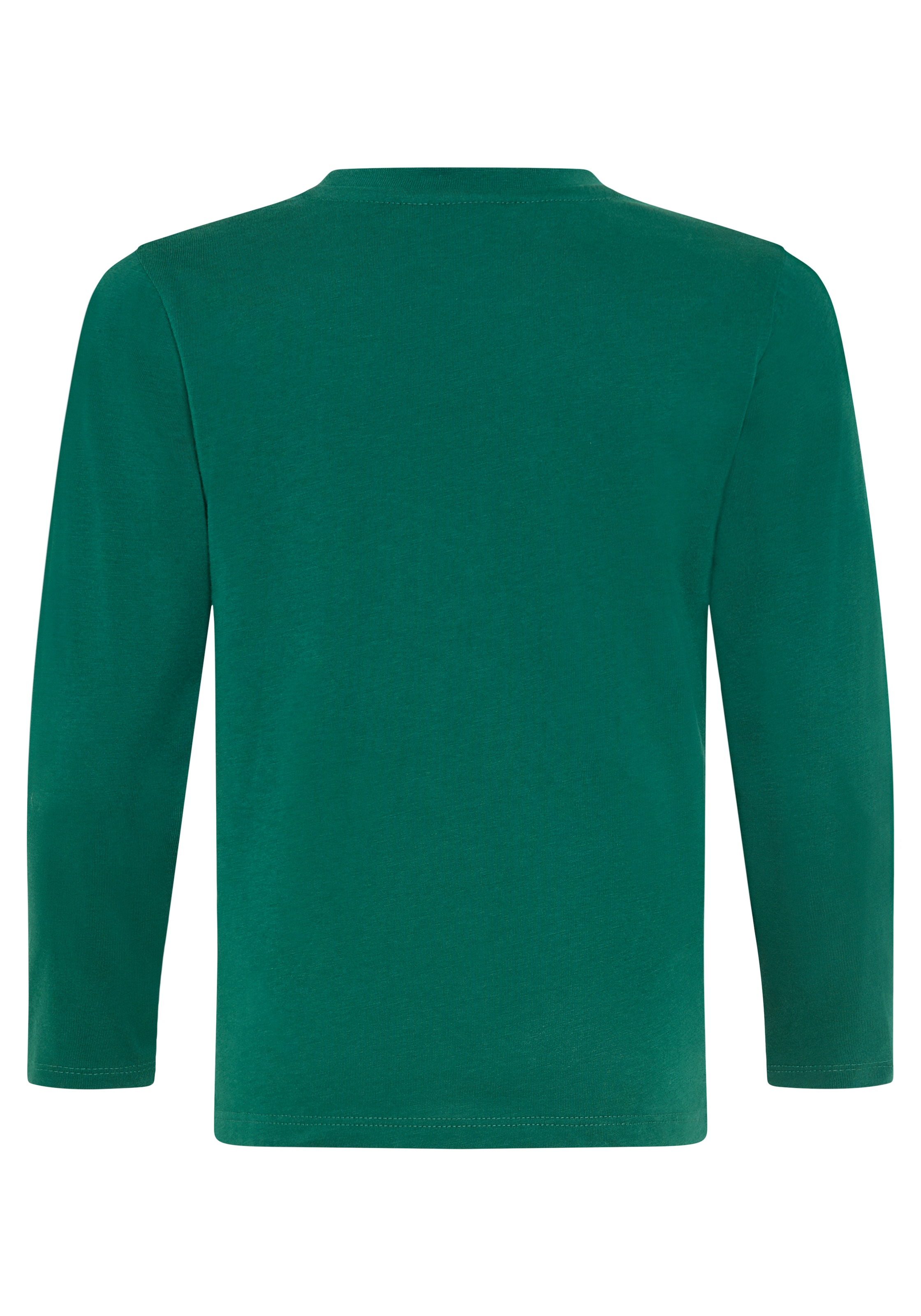 Kidsworld Shirt in Green