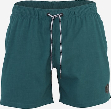 PROTEST Плавательные шорты 'Davey' в Зеленый: спереди