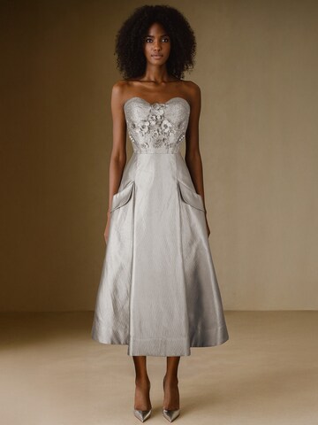 Rua & Rua Abendkleid in Silber